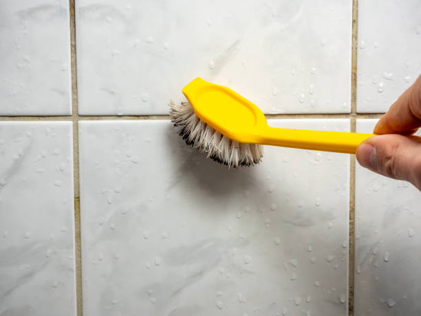 Best Mold Cleaning Services  in Muscle Shos, AL